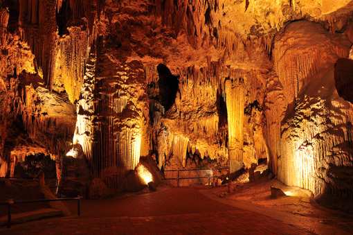 Editors' Picks: 20 of the Best Things to Do in Virginia!