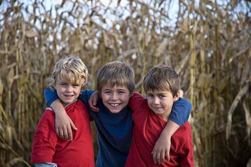 The 8 Best Corn Mazes in Virginia!