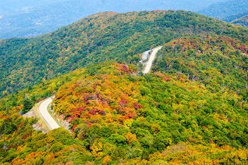 Virginia's 14 Best Fall Activities!